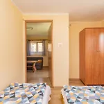 Pod Zlotym Debem Orman Evi
