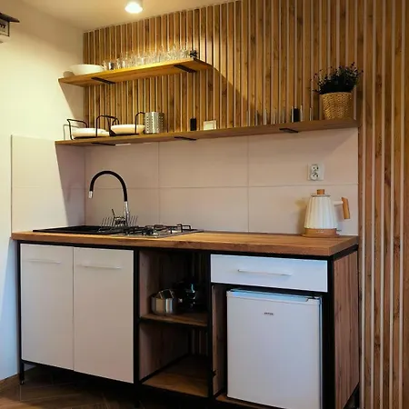 山林小屋 Pod Zlotym Debem Kąty Rybackie